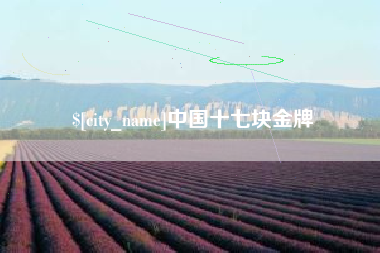 毕节中国十七块金牌