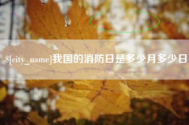 毕节我国的消防日是多少月多少日