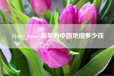 毕节新版的中国地图多少钱