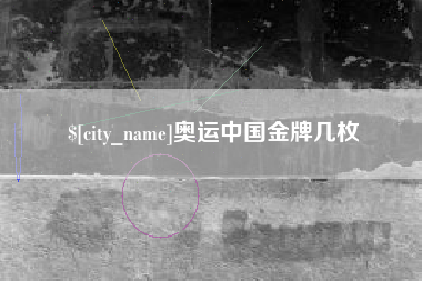 毕节奥运中国金牌几枚