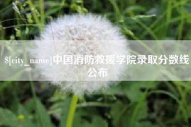 毕节中国消防救援学院录取分数线公布