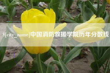毕节中国消防救援学院历年分数线