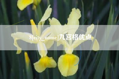 毕节九宫格优点