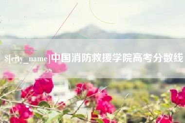 毕节中国消防救援学院高考分数线