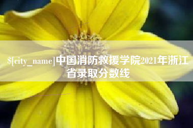 毕节中国消防救援学院2021年浙江省录取分数线
