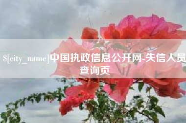 毕节中国执政信息公开网-失信人员查询页