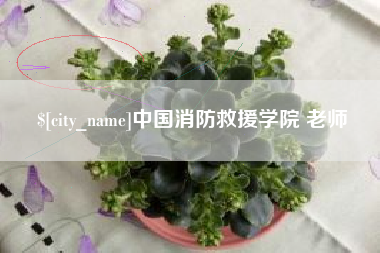 毕节中国消防救援学院 老师