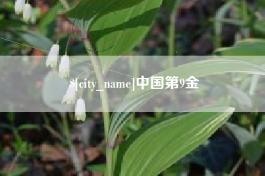 毕节中国第9金