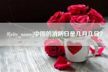 毕节中国的消防日是几月几日？