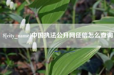 毕节中国执法公开网征信怎么查询
