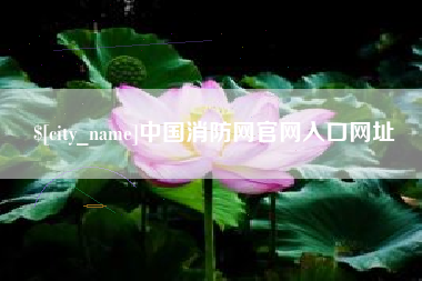 毕节中国消防网官网入口网址