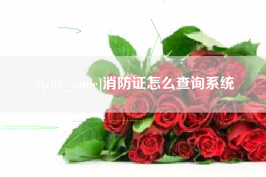 毕节消防证怎么查询系统