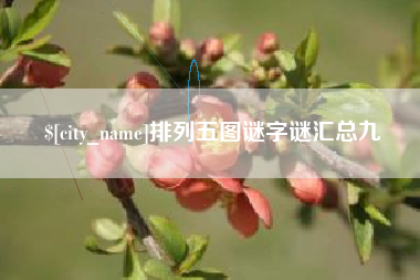 毕节排列五图谜字谜汇总九