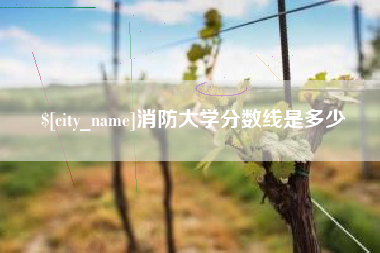 毕节消防大学分数线是多少