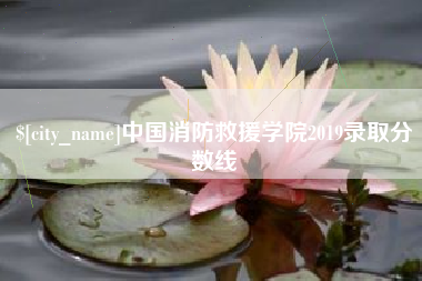 毕节中国消防救援学院2019录取分数线