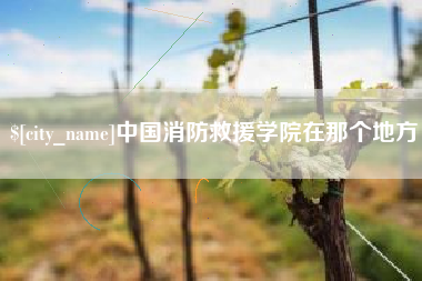 毕节中国消防救援学院在那个地方