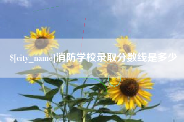 毕节消防学校录取分数线是多少