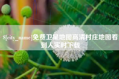 毕节免费卫星地图高清村庄地图看到人实时下载