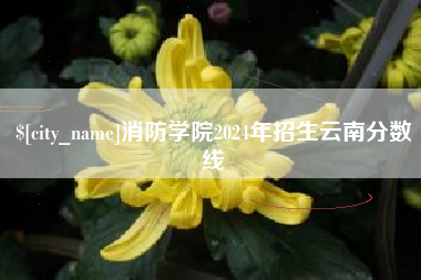毕节消防学院2024年招生云南分数线