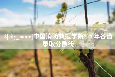 毕节中国消防救援学院2020年各省录取分数线