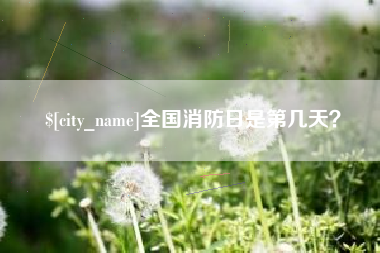 毕节全国消防日是第几天？