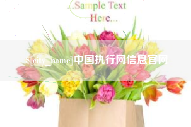 毕节中国执行网信息官网