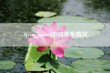 毕节中国夺金情况
