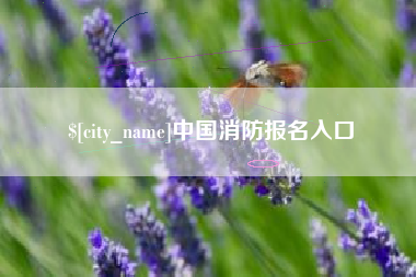 毕节中国消防报名入口