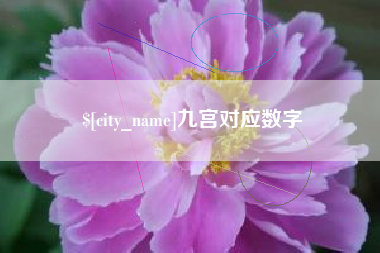 毕节九宫对应数字