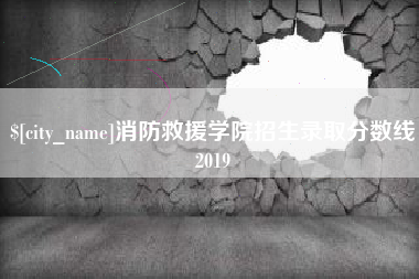 毕节消防救援学院招生录取分数线2019