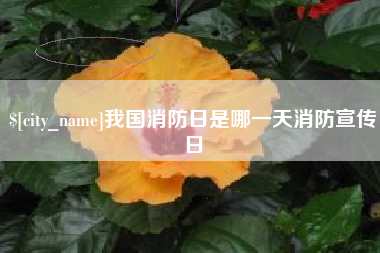 毕节我国消防日是哪一天消防宣传日