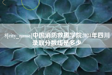毕节中国消防救援学院2021年四川录取分数线是多少