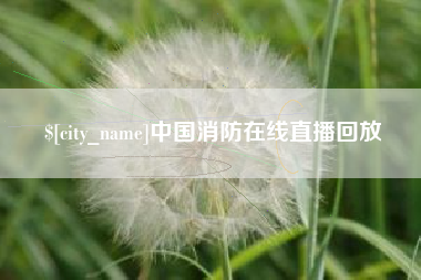 毕节中国消防在线直播回放