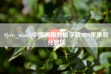 毕节中国消防救援学院2019年录取分数线