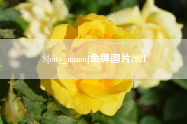 毕节金牌图片2021