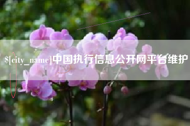 毕节中国执行信息公开网平台维护