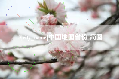 毕节中国地图省份 简图
