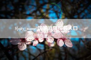 毕节国家消防报名入口