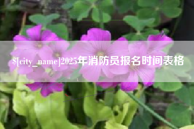 毕节2025年消防员报名时间表格