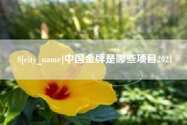 毕节中国金牌是哪些项目2021