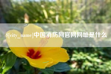 毕节中国消防网官网网址是什么