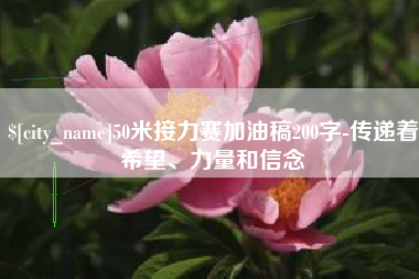 毕节50米接力赛加油稿200字-传递着希望、力量和信念