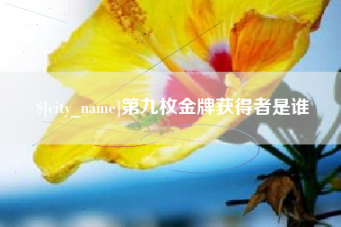 毕节第九枚金牌获得者是谁