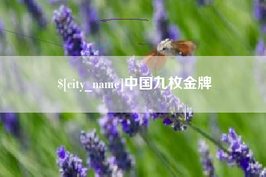 毕节中国九枚金牌