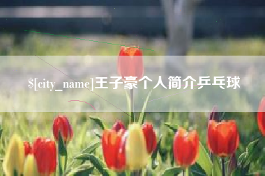 毕节王子豪个人简介乒乓球