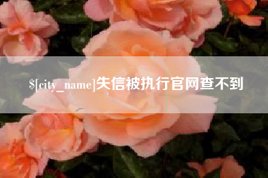 毕节失信被执行官网查不到