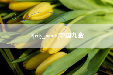 毕节中国九金