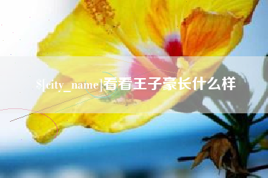 毕节看看王子豪长什么样