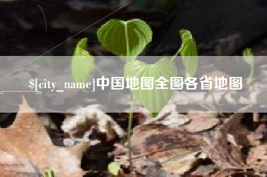 毕节中国地图全图各省地图
