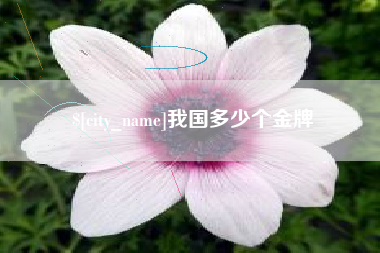 毕节我国多少个金牌